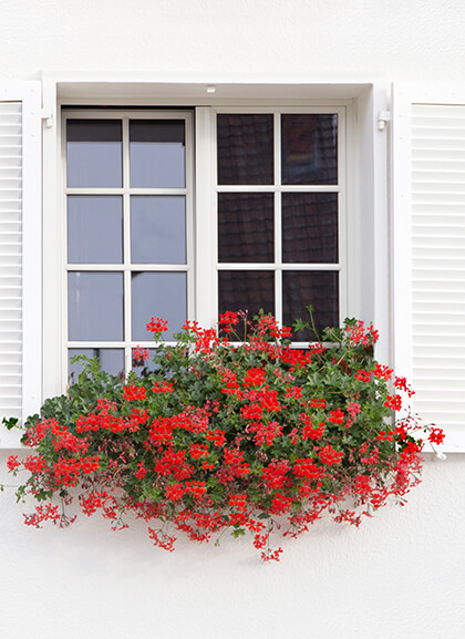 Остекление с раскладкой